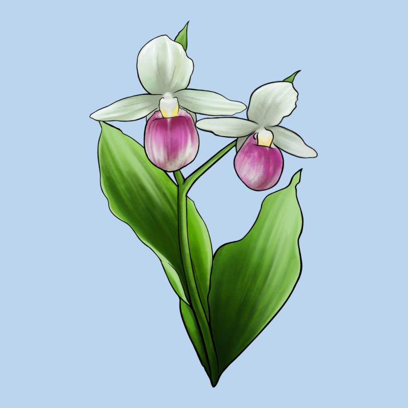 Pink And White Lady's Slipper Flower Illustrations Classic Tee by LillyAllenDesigns | Teevron