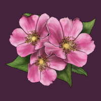 Wild Prairie Rose Illustrations Classic Tee | Teevron