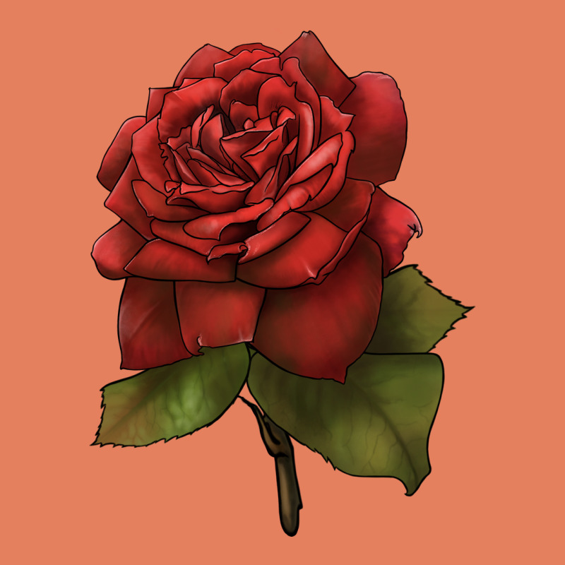 Oklahoma Rose Illustrations Classic Tee by LillyAllenDesigns | Teevron