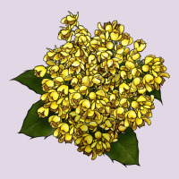 Oregon Grape Flower Illustrations Classic Tee | Teevron