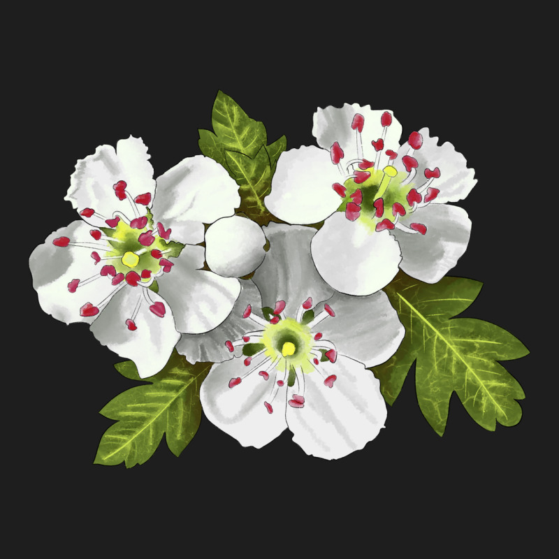 Hawthorn Flower Illustrations Classic Tee by LillyAllenDesigns | Teevron