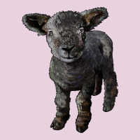 Southdown Baby Sheep Classic Tee | Teevron