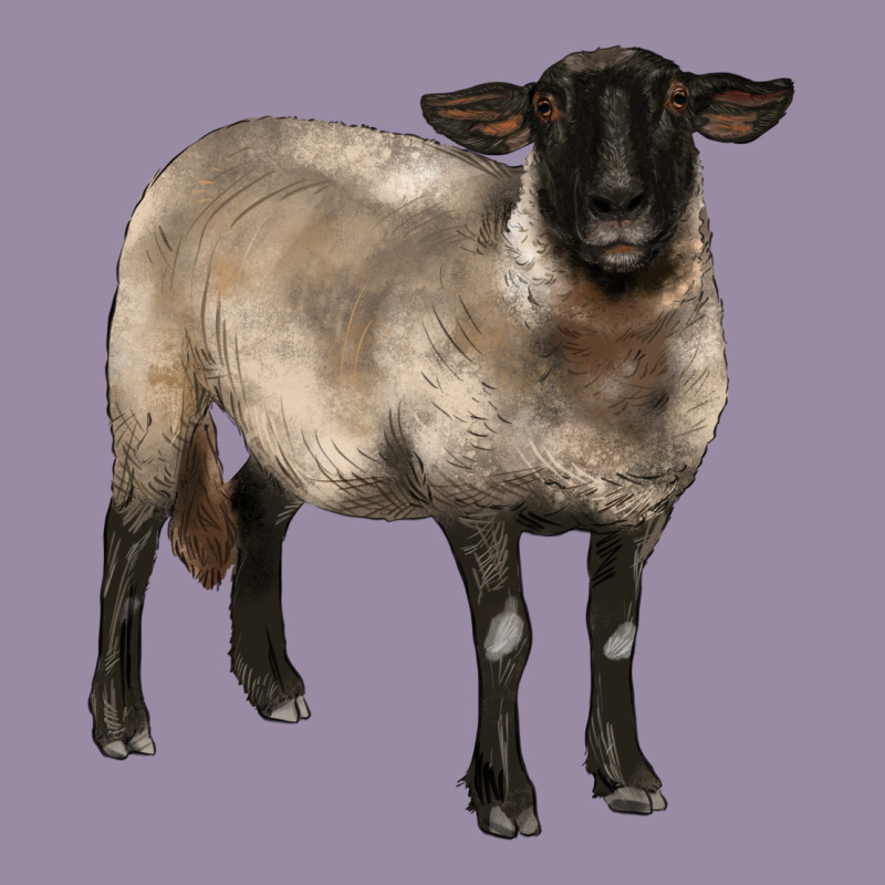 Suffolk Ewe Classic Tee by BarkalooDesign | Teevron