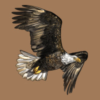 White Headed Eagle Classic Tee | Teevron