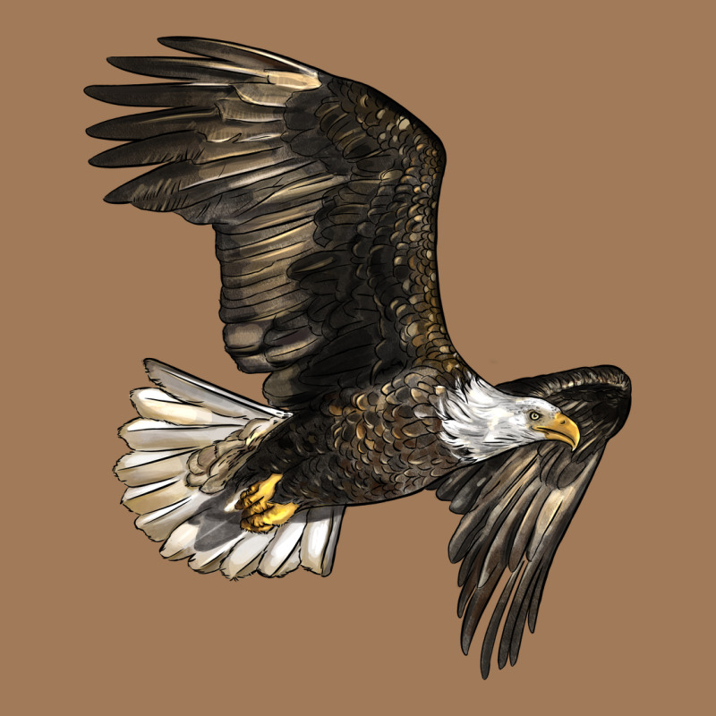 White Headed Eagle Classic Tee by LillyAllenDesigns | Teevron