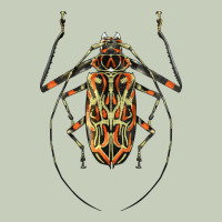 Acrocinus Beetle Illustrations Classic Tee | Teevron