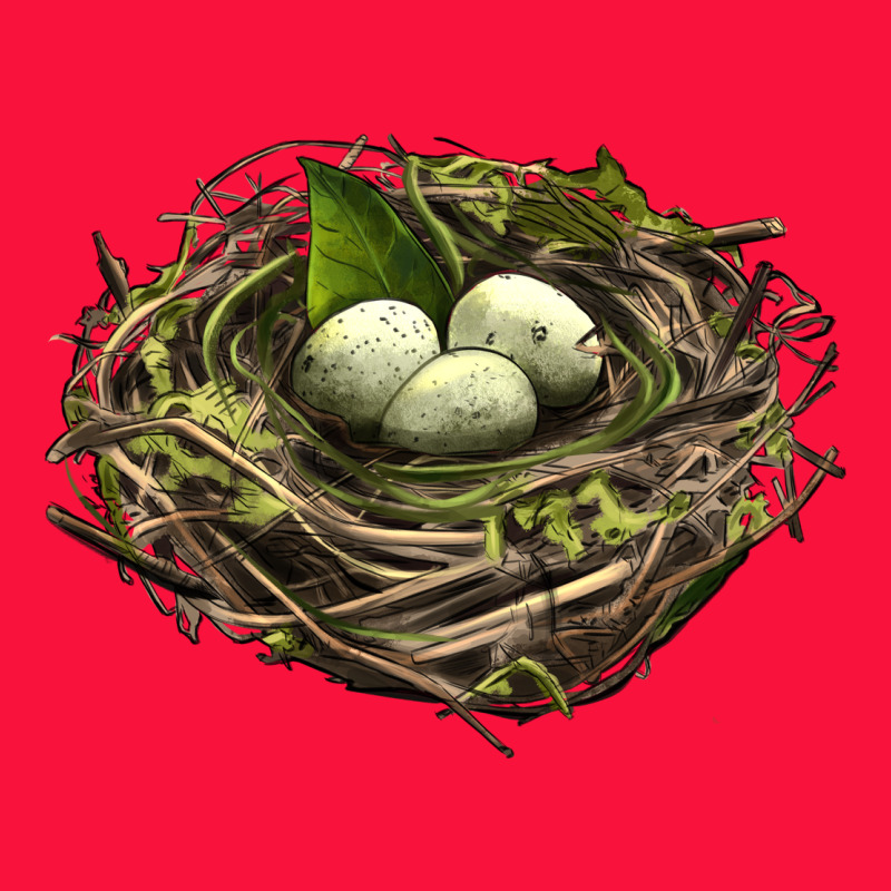 Bird Nest With Eggs Classic Tee by LillyAllenDesigns | Teevron