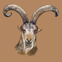 Spanish Goat Face Long Sleeve Tee | Teevron