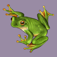 White Lipped Tree Frog Illustrations Classic Tee | Teevron
