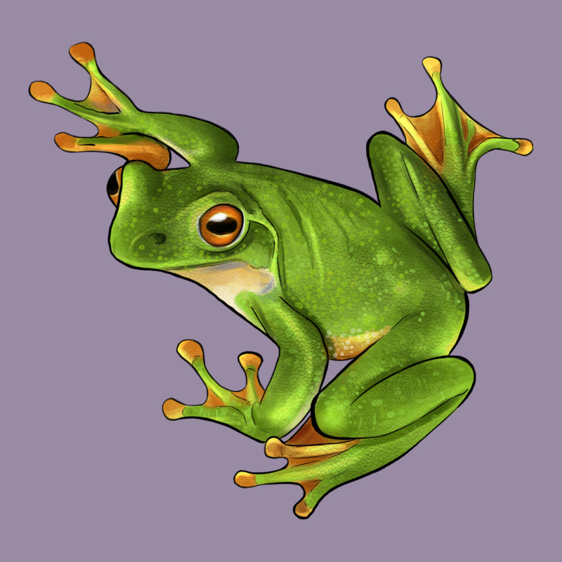 White Lipped Tree Frog Illustrations Classic Tee by LillyAllenDesigns | Teevron