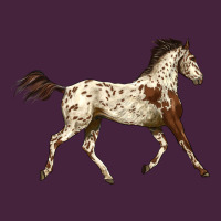 Appaloosa Horse Long Sleeve Tee | Teevron