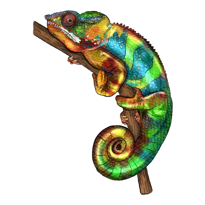 Chameleon Lizard Illustrations Classic Tee by LillyAllenDesigns | Teevron