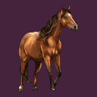 Quarter Horse Long Sleeve Tee | Teevron