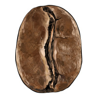 coffee bean | Teevron