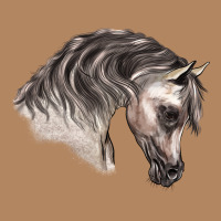 Arabian Horse Long Sleeve Tee | Teevron