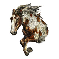 Mustang Horse | Teevron