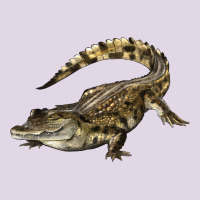 Crocodile Classic Tee | Teevron