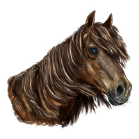 missouri horse | Teevron