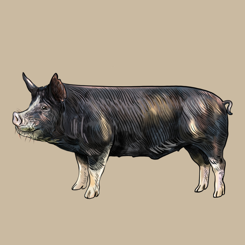 Berkshire Pig Long Sleeve Tee by LillyAllenDesigns | Teevron