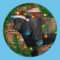 Black Angus Bull With Christmas Lights Premium Sweatshirt | Teevron
