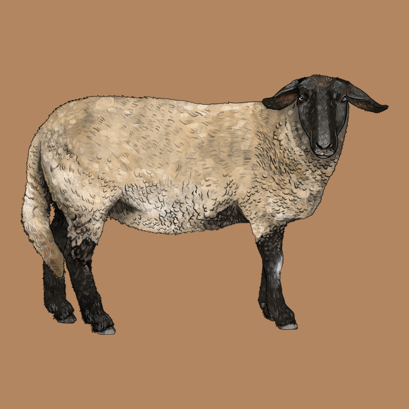 Suffolk Sheep Long Sleeve Tee by LillyAllenDesigns | Teevron