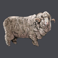 Rambouillet Sheep Long Sleeve Tee | Teevron
