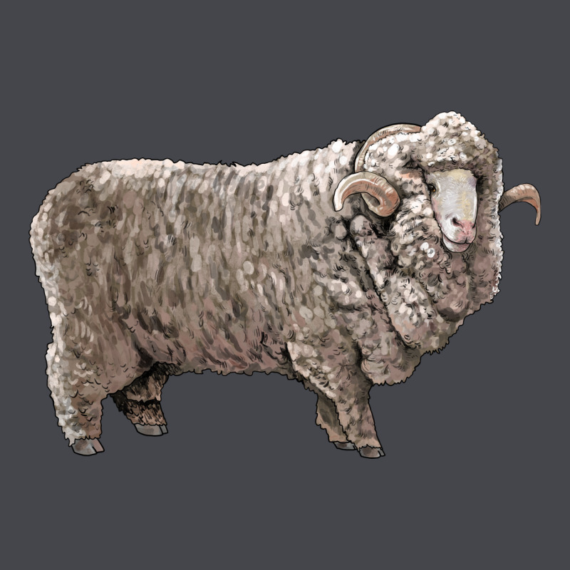 Rambouillet Sheep Long Sleeve Tee by LillyAllenDesigns | Teevron