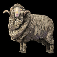 Merino Wool Sheep Long Sleeve Tee | Teevron
