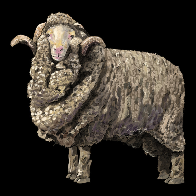 Merino Wool Sheep Long Sleeve Tee by LillyAllenDesigns | Teevron
