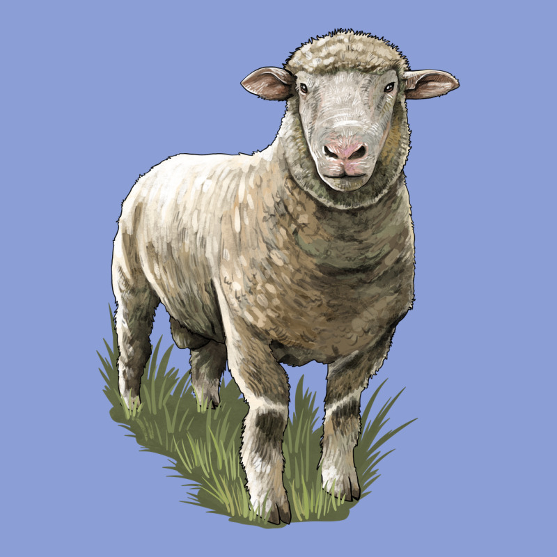 Dorset Sheep Long Sleeve Tee by LillyAllenDesigns | Teevron