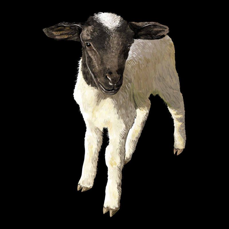 Dorper Baby Sheep Long Sleeve Tee by LillyAllenDesigns | Teevron
