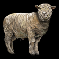 Southdown Sheep Long Sleeve Tee | Teevron
