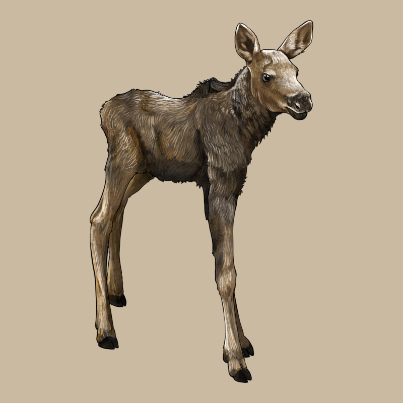 Moose Fawn Deer Long Sleeve Tee by LillyAllenDesigns | Teevron