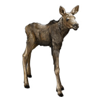 moose fawn deer | Teevron