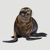 Sea Lion Illustrations Classic Tee | Teevron