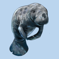 Manatee Illustrations Classic Tee | Teevron
