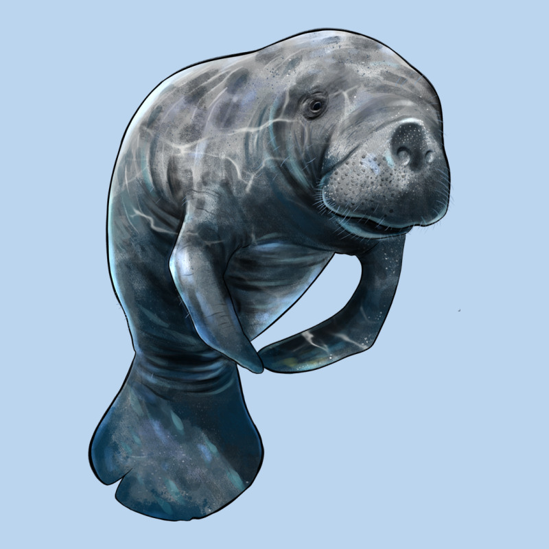 Manatee Illustrations Classic Tee by LillyAllenDesigns | Teevron