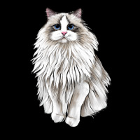 Ragdoll Cat Long Sleeve Tee | Teevron