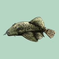 Bristlenose Placo Classic Tee | Teevron
