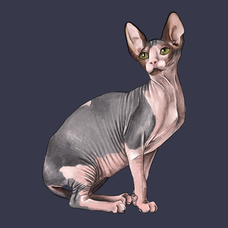 Sphynx Cat Long Sleeve Tee by LillyAllenDesigns | Teevron