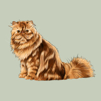Persian Cat Long Sleeve Tee | Teevron