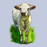 Charolais Heifer Long Sleeve Tee | Teevron