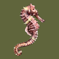 Pink Seahorse Classic Tee | Teevron