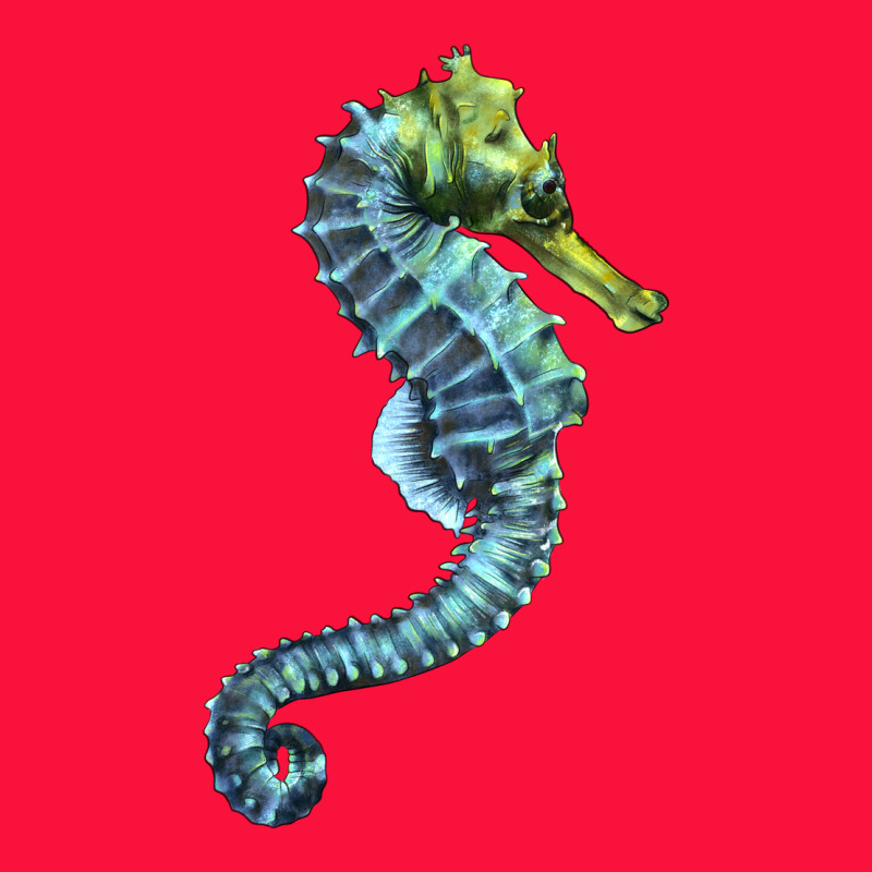 Blue Seahorse Classic Tee by LillyAllenDesigns | Teevron