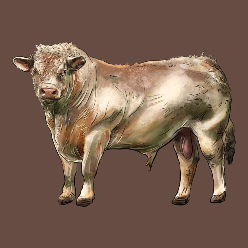 Charolais Bull Long Sleeve Tee by LillyAllenDesigns | Teevron