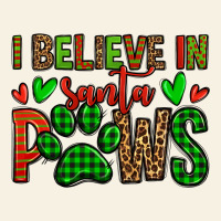 I Believe In Santa Paws Christmas Vintage Tee | Teevron