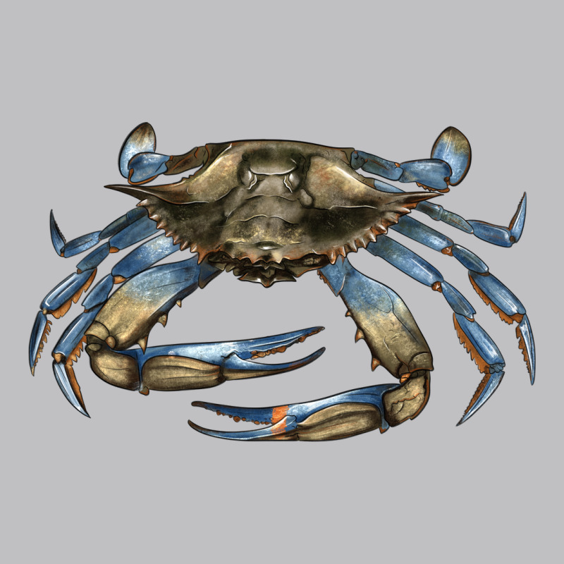 Crab Classic Tee by LillyAllenDesigns | Teevron