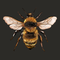 Bee Heavy Core Tee | Teevron
