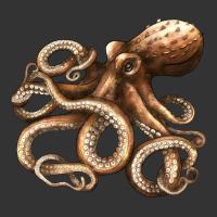 octopus | Teevron