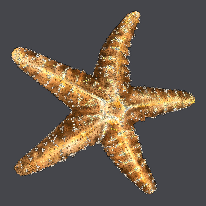 Starfish Classic Tee by LillyAllenDesigns | Teevron